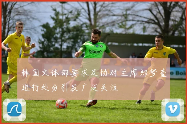 韩国文体部要求足协对主席郑梦奎进行处分引发广泛关注