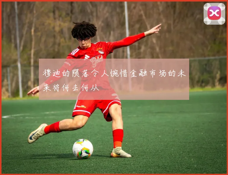 穆迪的陨落令人惋惜金融市场的未来将何去何从