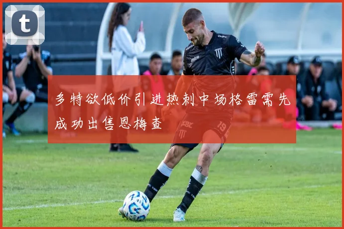 多特欲低价引进热刺中场格雷需先成功出售恩梅查