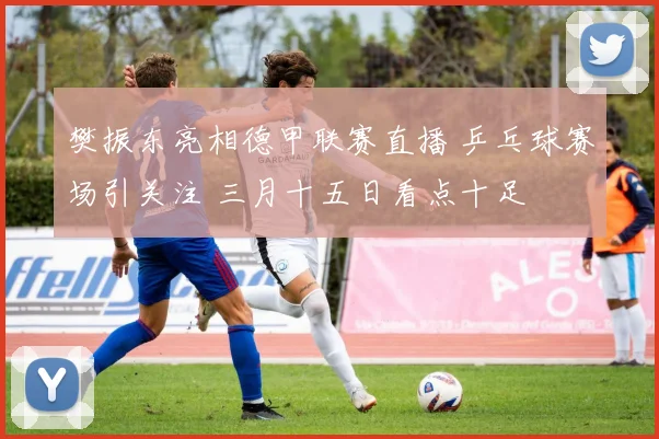 樊振东亮相德甲联赛直播 乒乓球赛场引关注 三月十五日看点十足