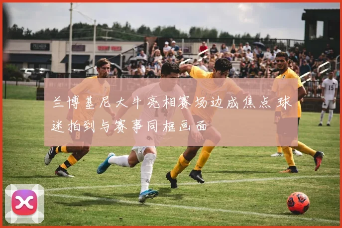 兰博基尼大牛亮相赛场边成焦点 球迷拍到与赛事同框画面