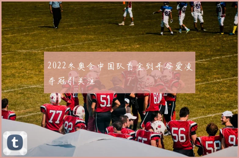 2022冬奥会中国队首金到手谷爱凌夺冠引关注