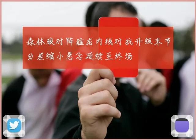 森林狼对阵猛龙内线对抗升级末节分差缩小悬念延续至终场