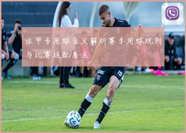 法甲专用球含义解析赛季用球规则与比赛适配看点