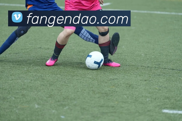 星空官方网站品牌故事