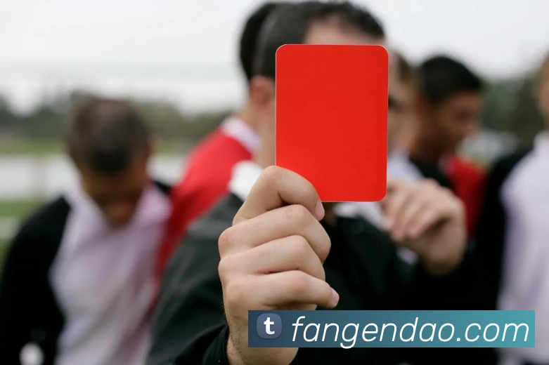 星空官方网站服务体系